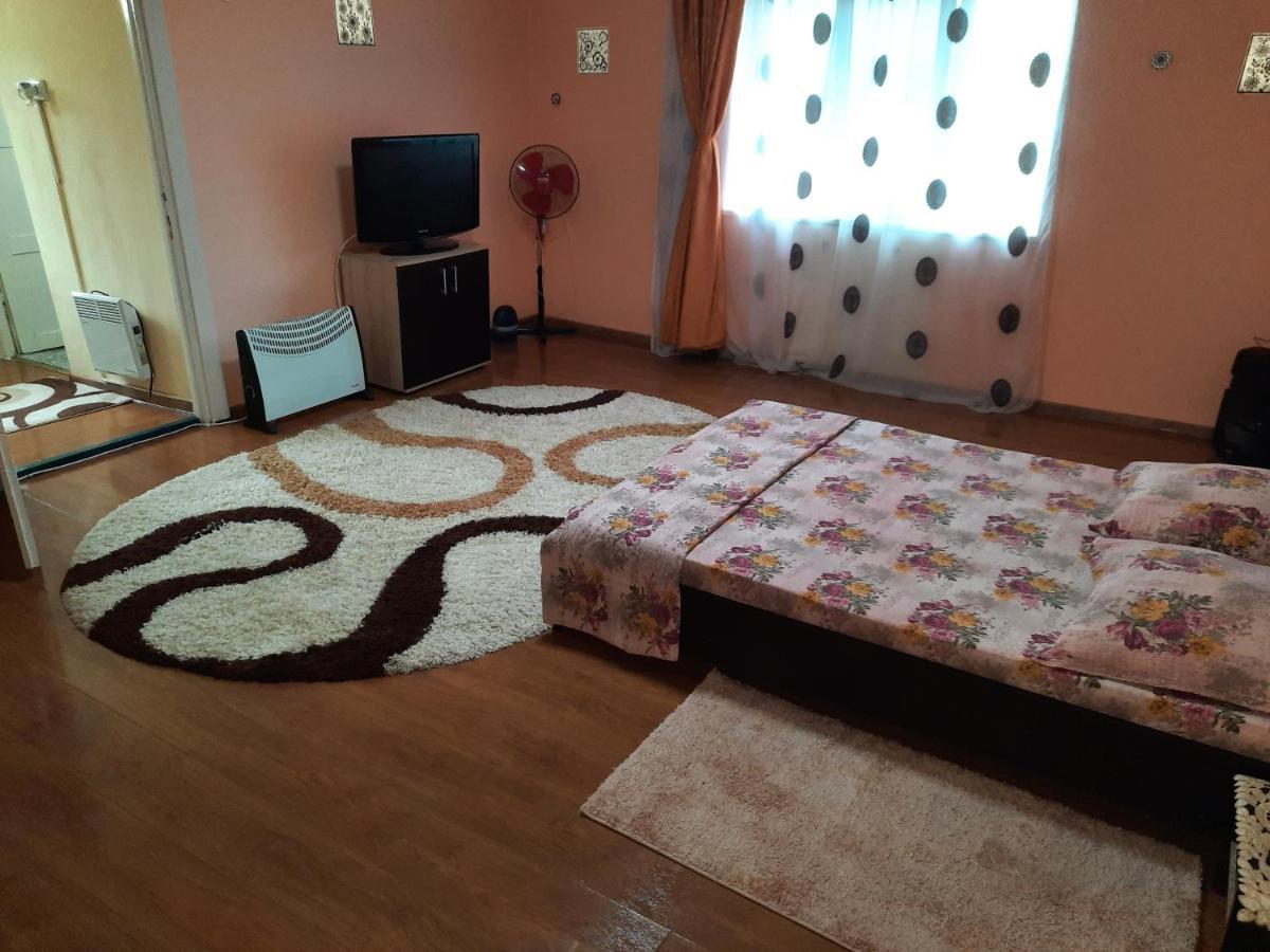 Vila La Izvorul Putinei Haţeg エクステリア 写真