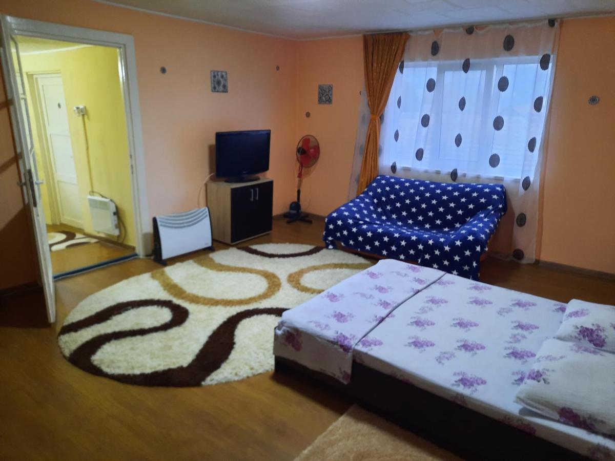 Vila La Izvorul Putinei Haţeg エクステリア 写真