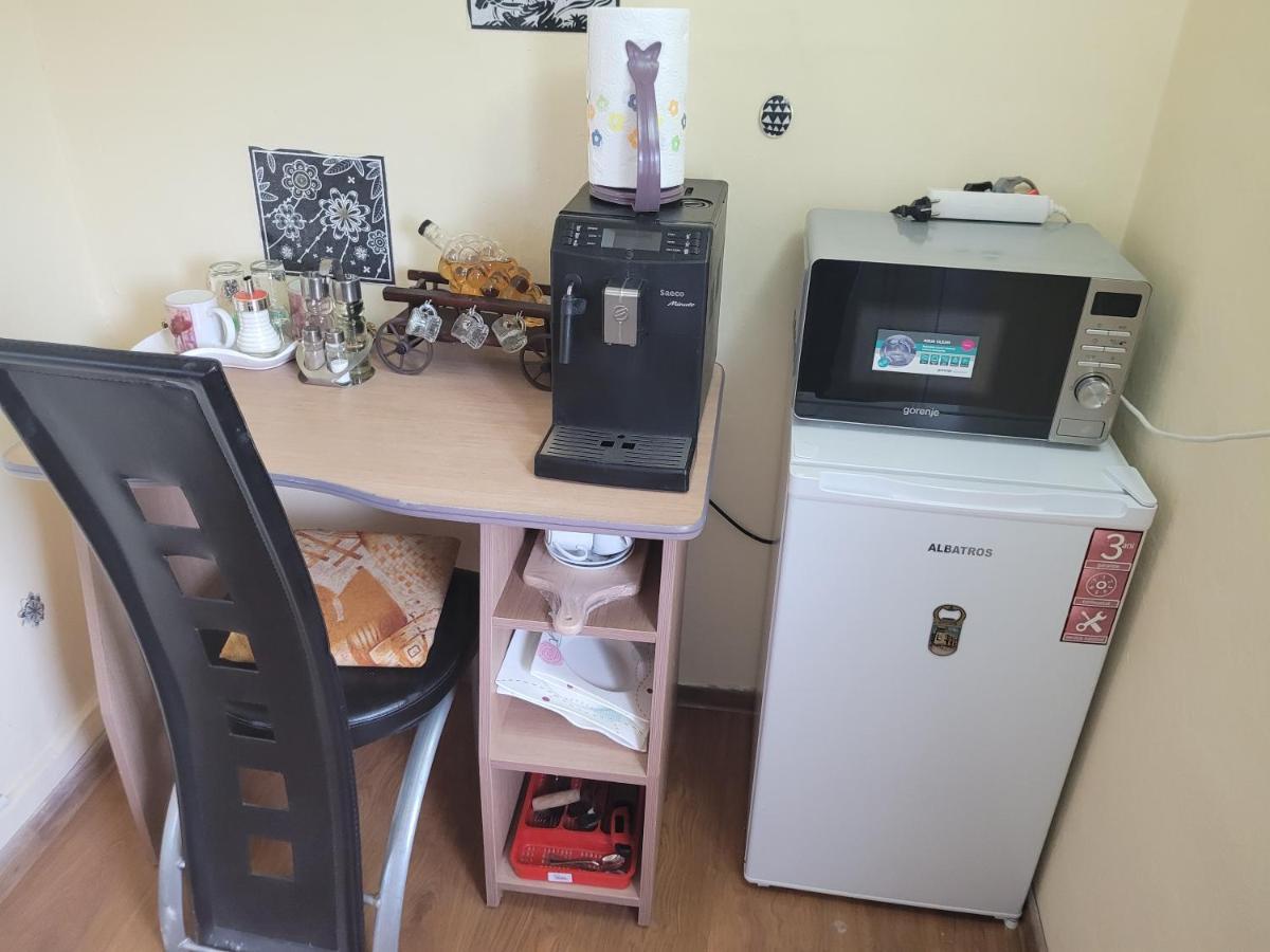 Vila La Izvorul Putinei Haţeg エクステリア 写真