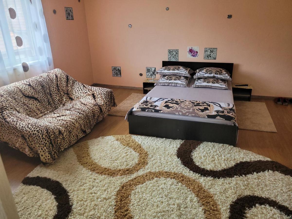 Vila La Izvorul Putinei Haţeg エクステリア 写真