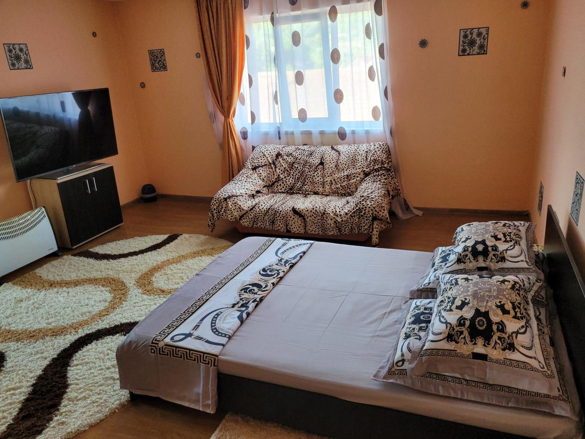 Vila La Izvorul Putinei Haţeg 部屋 写真