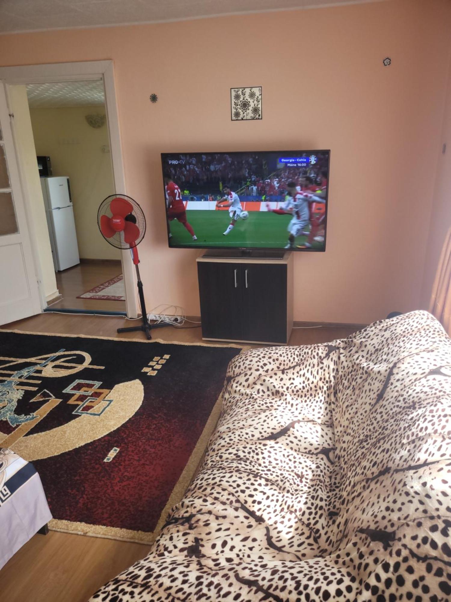 Vila La Izvorul Putinei Haţeg 部屋 写真