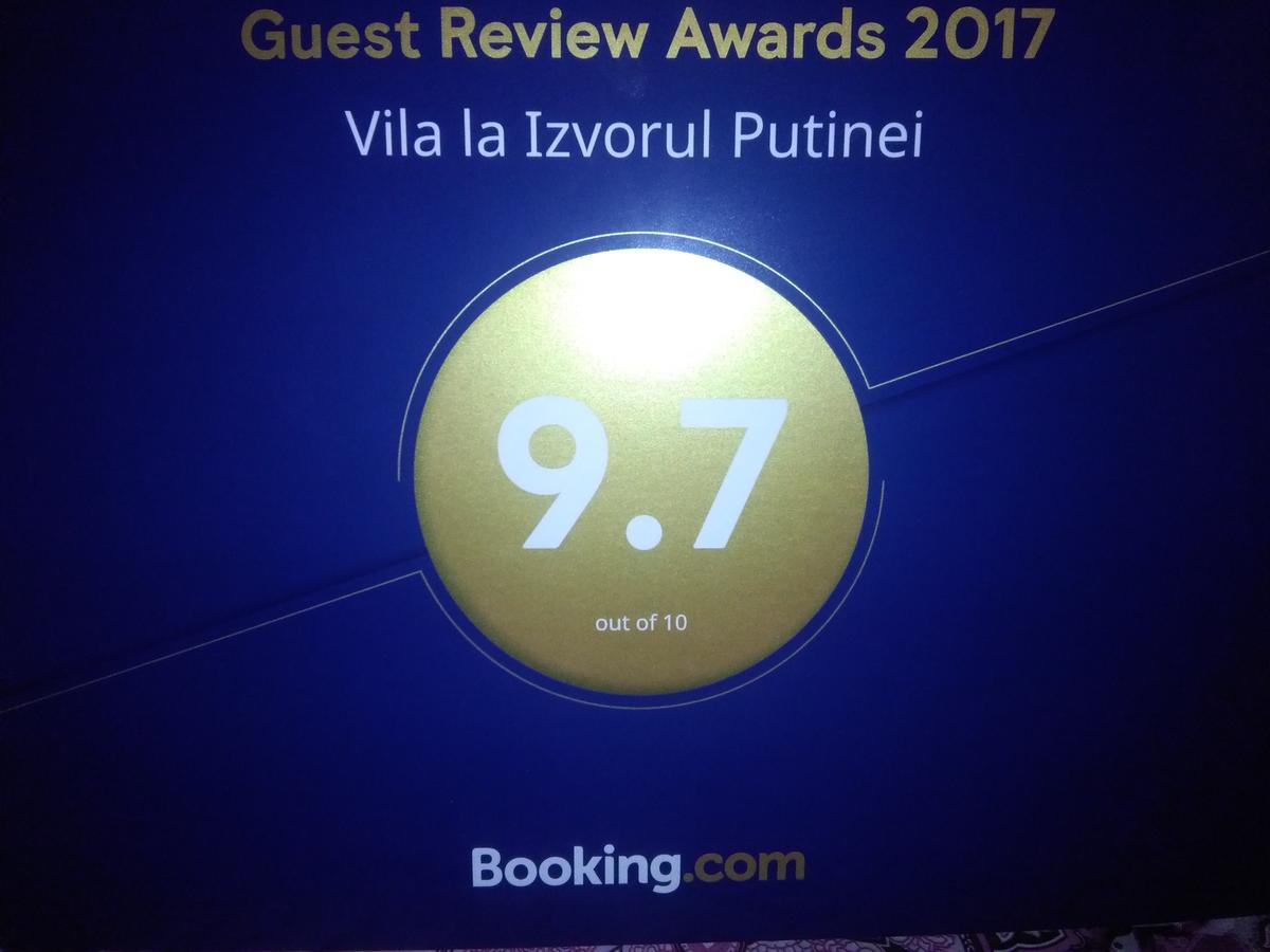 Vila La Izvorul Putinei Haţeg エクステリア 写真