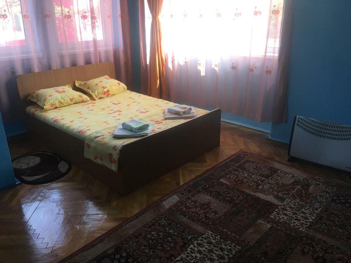 Vila La Izvorul Putinei Haţeg エクステリア 写真