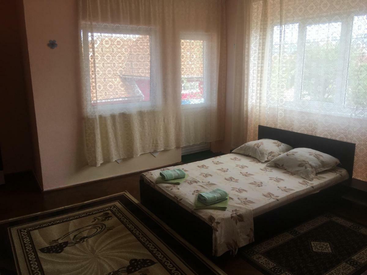 Vila La Izvorul Putinei Haţeg エクステリア 写真