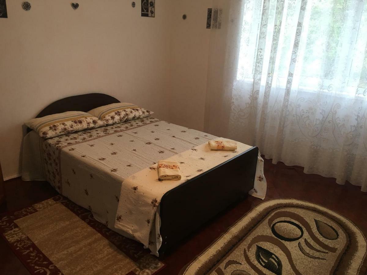 Vila La Izvorul Putinei Haţeg エクステリア 写真