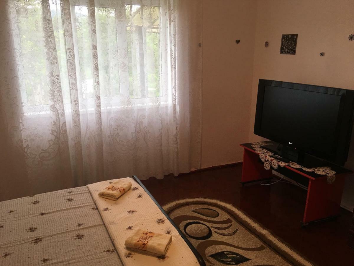 Vila La Izvorul Putinei Haţeg エクステリア 写真