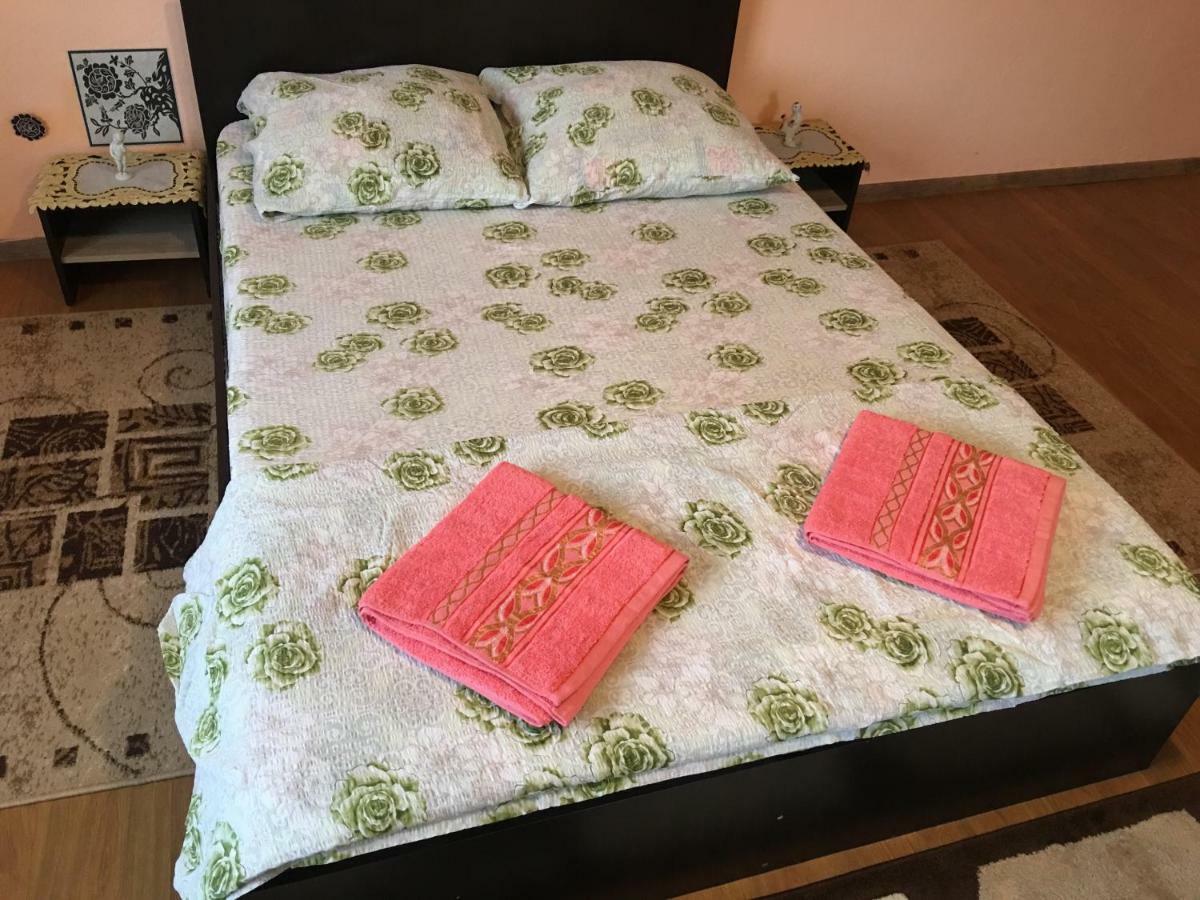 Vila La Izvorul Putinei Haţeg エクステリア 写真