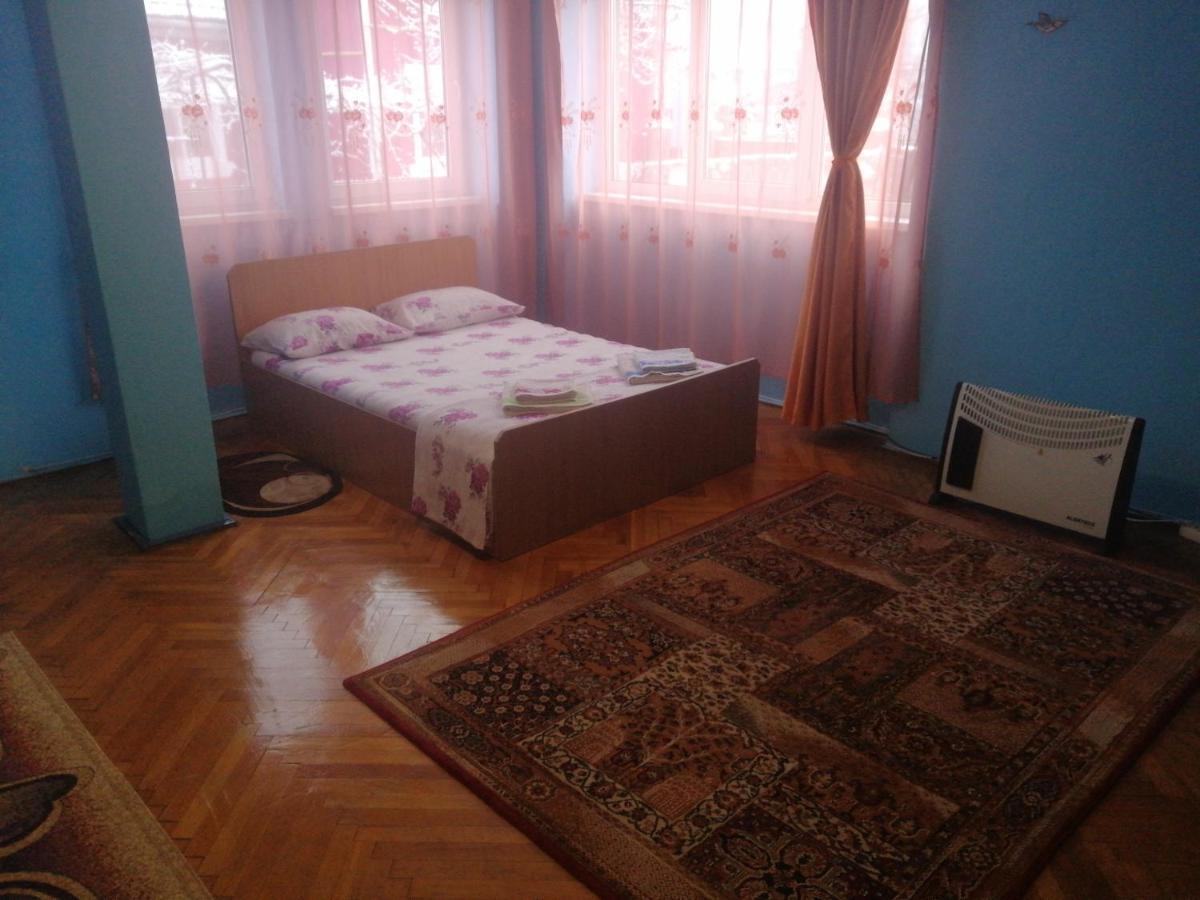 Vila La Izvorul Putinei Haţeg エクステリア 写真